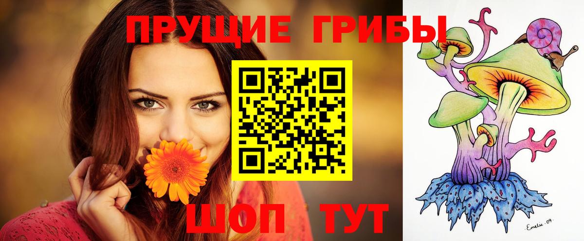 Сибай  Псилоцибиновые грибы мицелий  Вход с VPN 